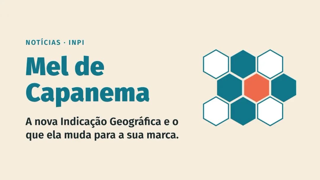 Mel de Capanema ganha Indicação Geográfica: o que isso muda para a sua marca